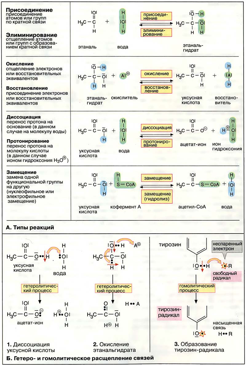 Классификация реакций в органической химии кратко. Типы химических реакций в органической химии (определение и примеры). Типы химических реакций в органической химии горение. Перечислите типы химических реакций в органической химии.. Типы химических реакций в органической химии 8 класс.
