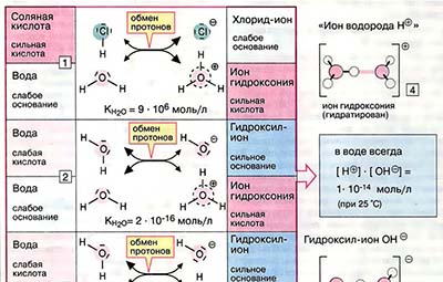 Кислоты и основания